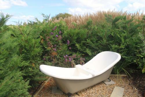 Hostal Luxurious Escape,matakana