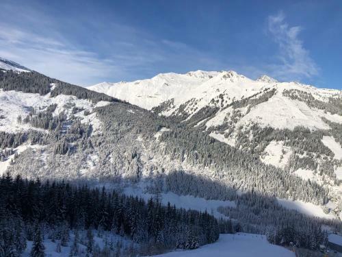 Apartamento Grenzberg - Bad Gastein