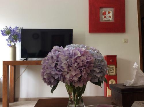 Apartamento La Ventana Al Rio