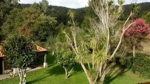 Os Salguieiros (the Willows)