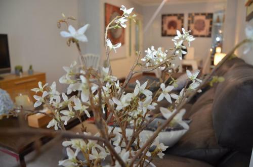 Apartamento La Casa De Las Hortensias