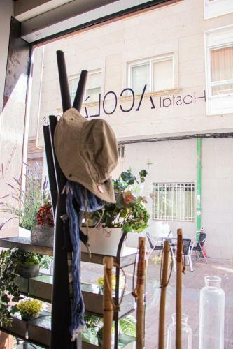 Albergue Acol� Rooms