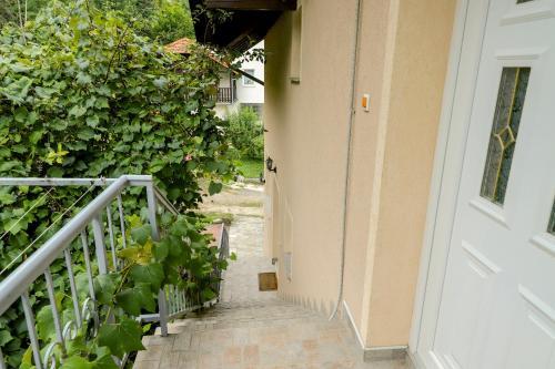 Apartments Crvena Jabuka 1