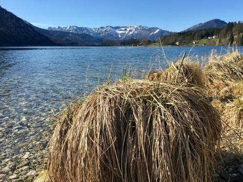 Apartamento Landhaus Hallst�ttersee