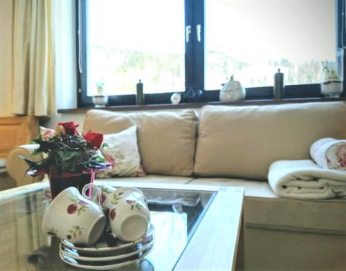 Apartamento Wohlf�hlapartment Dachsteinblick