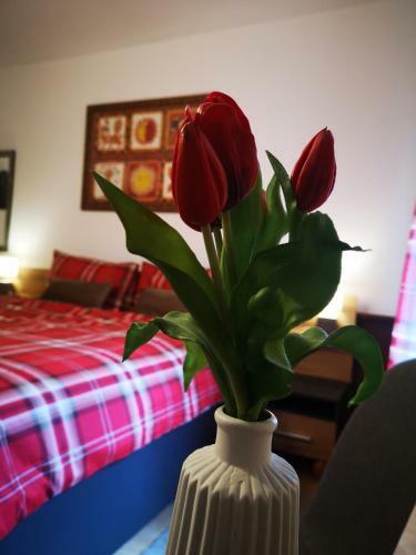 Hostal Rosy's House Pension Privatzimmer