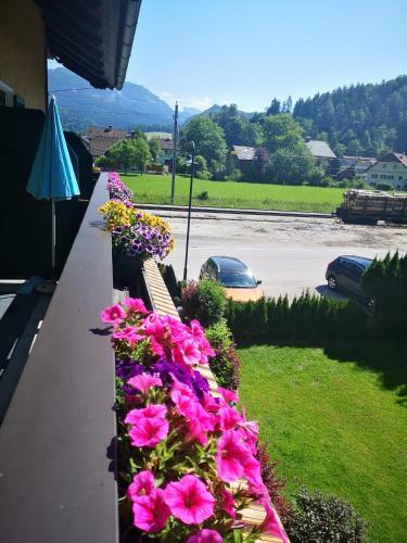 Hostal Rosy's House Pension Privatzimmer