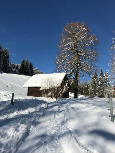 Apartamento Kaiserblick Goisern
