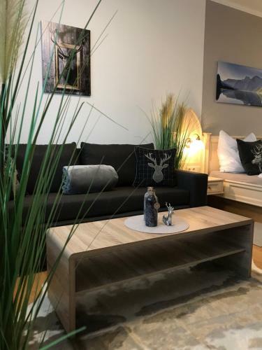 Apartamento Kaiserblick Goisern