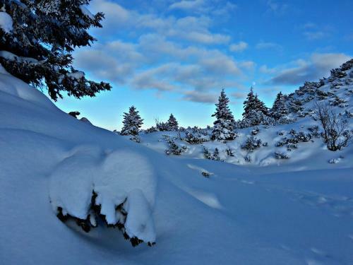 Apartamento Ferienwohnungen Arikogel Bad Goisern
