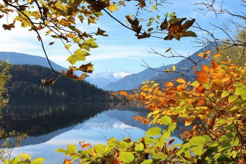 Apartamento Ferienwohnungen Arikogel Bad Goisern