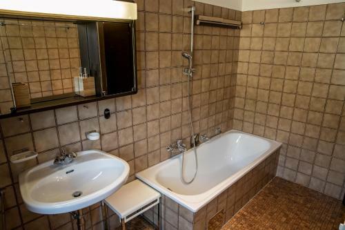 Apartment Hava
