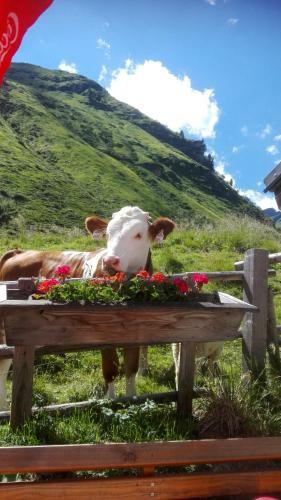 Agroturismo Moisesgut