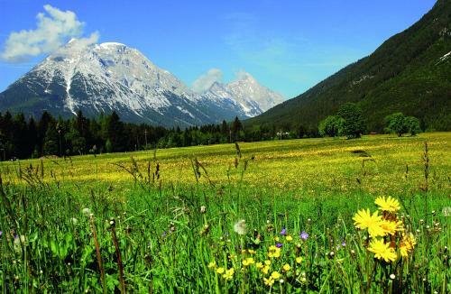 Apartamento Ropferhof