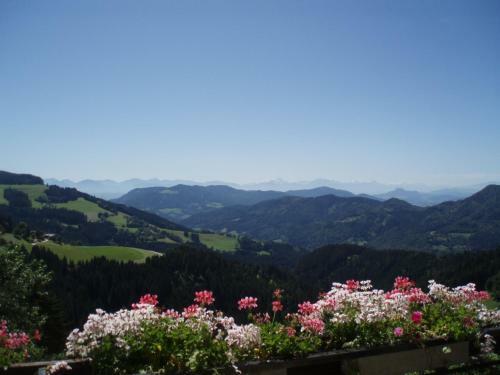 Hostal Gasthof Gutmann