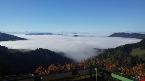 Hostal Gasthof Gutmann