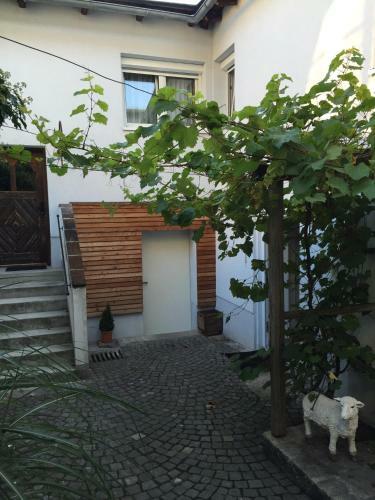 Hostal Pension Sunnseitn