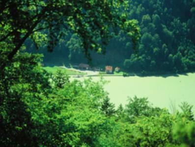 Hostal Idylle Am Donauufer