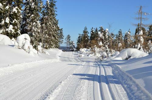 Posada Gasthof Reiter