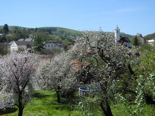 Hotel Rosner