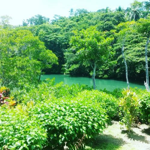 Kingfisher Beach House