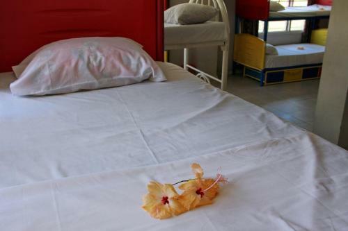 Hotel Tropic Of Capricorn