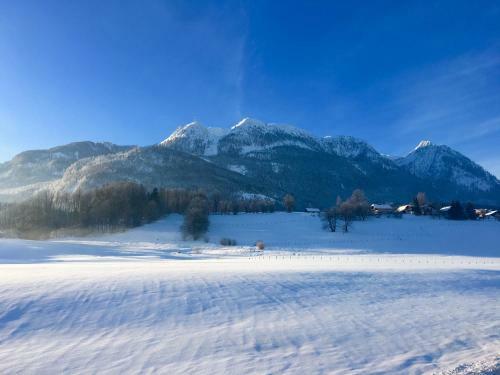 Apartamento Auszeit Salzkammergut Appartements