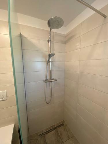 Apartamento Auszeit Salzkammergut Appartements