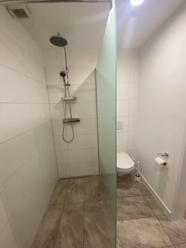 Apartamento Auszeit Salzkammergut Appartements