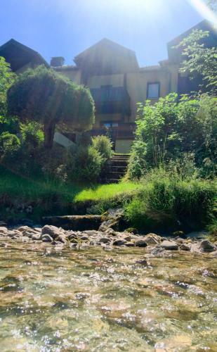 Apartamentos Haus Traun-ufer