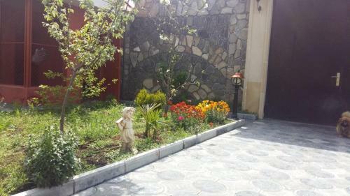 Paradise Villa