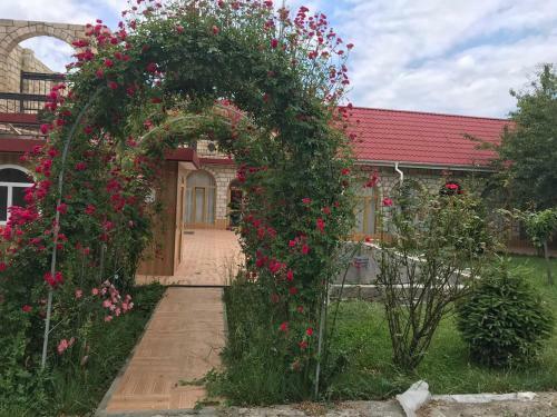 Sheki Apartments