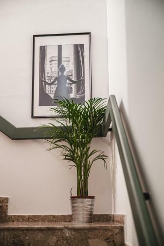 Apartamento The Gallery