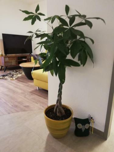 Apartamento Schmaranzer
