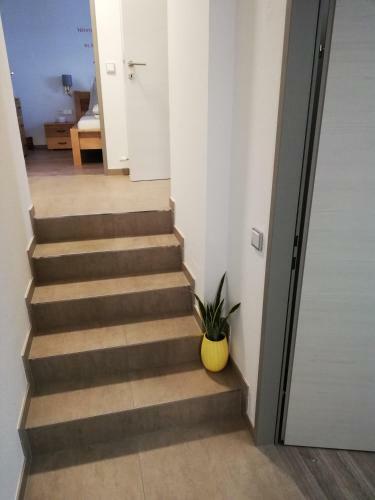 Apartamento Schmaranzer