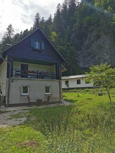 Ferienhaus Am Wildbach 1