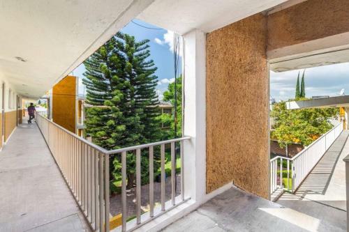 Apartamento +ms +suite Confortable + Centrica +zaragoza A24