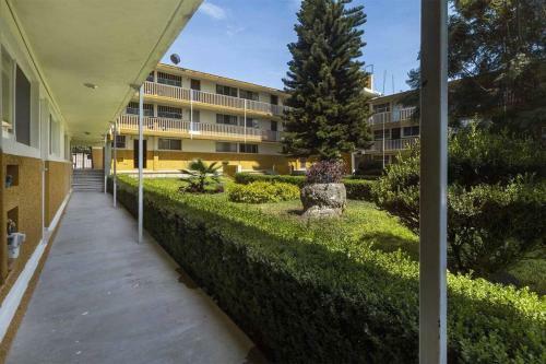 Apartamento +ms +suite Confortable + Centrica +zaragoza A24