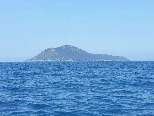 Apartamento Zija Hasani