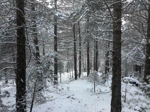 Apartamento Zija Hasani