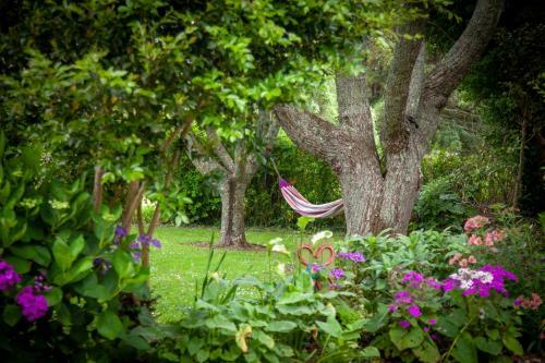 Hostal Kereru Cottage