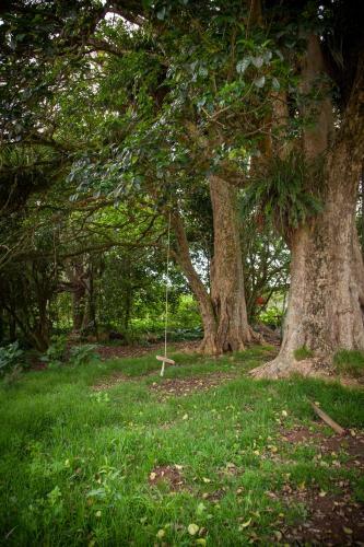 Hostal Kereru Cottage