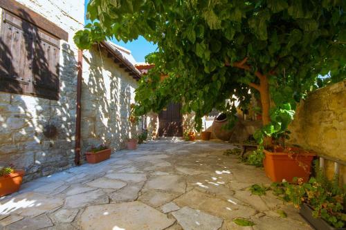 Dioni Palace By Agroholidays