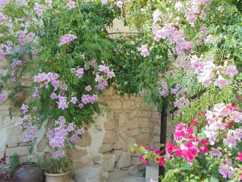 Village House Limassol