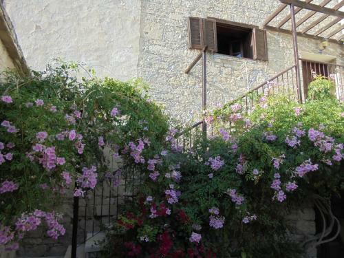 Village House Limassol