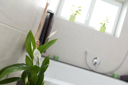 Apartamento Naturpur 4613