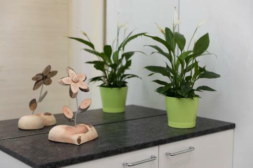 Apartamento Naturpur 4613