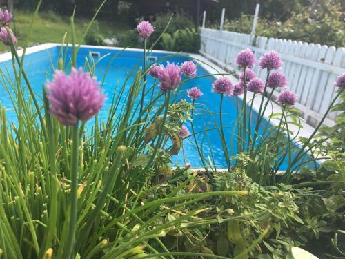 Apartamento Ferienwohnungen Gasser