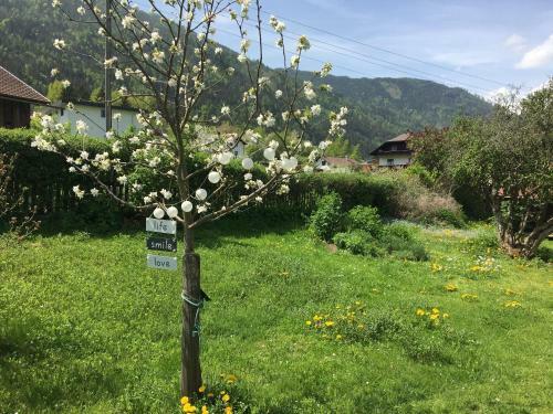 Apartamento Ferienwohnungen Gasser