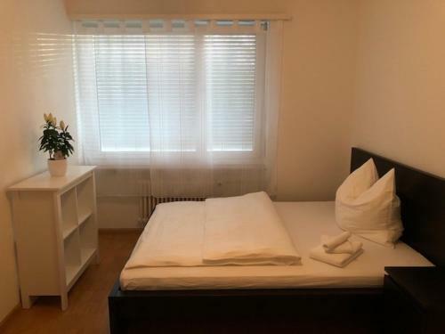 Luxury Black-white Room